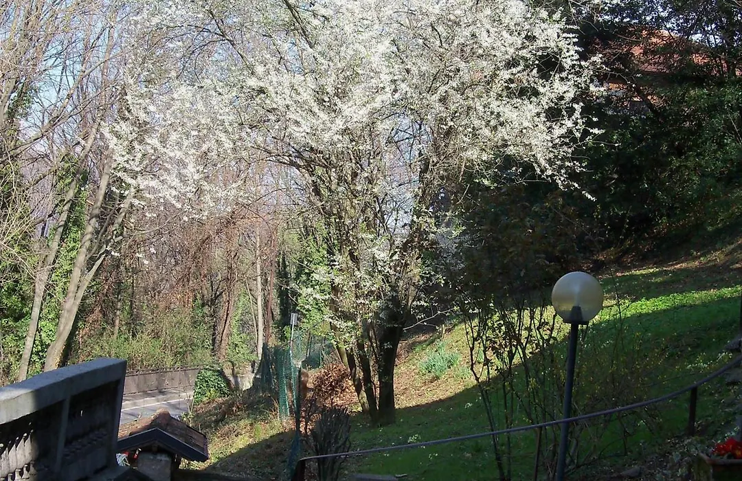 B&B I Ghiri-1